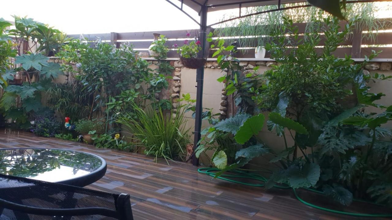 Appartement Amazing à Haïfa Extérieur photo