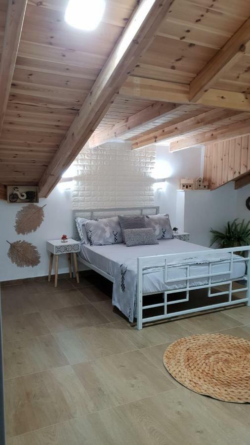 Appartement Amazing à Haïfa Extérieur photo